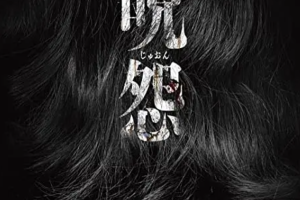 日韩恐怖电影《咒怨》1-13部系列[MKV/MP4/19.55GB]英语+日语中文字幕高清合集[百度网盘下载]