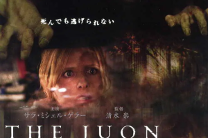 欧美恐怖电影《咒怨美版》2部系列[MP4/MKV][13.3GB]英语+中文字幕高清合集[阿里云盘下载]