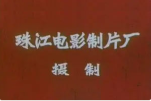 经典电影《珠江电影制片厂》1-43部系列电影[MP4/MKV]高清大合集[阿里云盘下载]