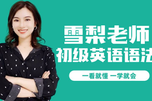 【语言学习】雪梨《初级语法课》【英语】[MP4][4.91GB][百度网盘下载 ]
