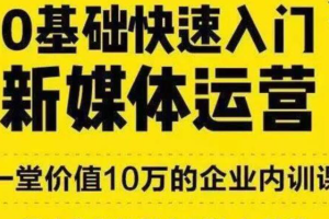 【媒体运营】《0基础快速入门新媒体运营》MP4教程[MP4][654.74MB][百度网盘下载 ]