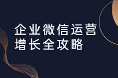 【媒体运营】 《企业微信运营增长全攻略》[MP4][百度网盘下载