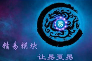 【编程代码】《精易四周年限量纪念U盘》[8GB][百度网盘下载]