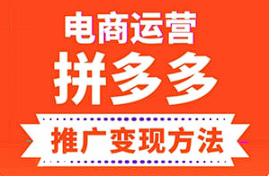 【媒体运营】《电商运营之拼多多推广变现方法》【完结】[MP3][百度网盘下载]