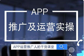 【运营】《产品运营丨专业解决APP推广难题》【完结】[MP4][百度网盘下载]