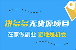 【网店分享】《2020副业项目：拼多多无货源》[MP4][百度网盘下载]