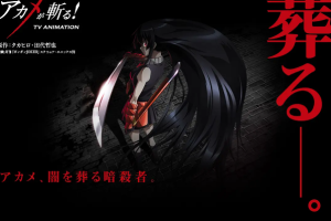 日韩动画 《斩！赤红之瞳》[MP4][11.29GB]全24集+漫画日语中日双字[百度网盘下载]