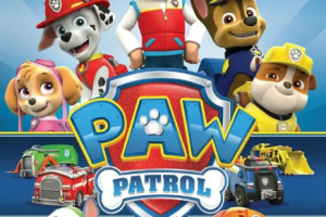 国产动画《PAW Patrol/汪汪队立大功》[MP4][96.87GB]英文版7季+中文版5季+电影两部[百度网盘下载]