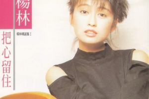 中国台湾女歌手《杨林》歌曲合集35张[MP3/FLAC/MP4/FLV/12.49GB][百度网盘下载