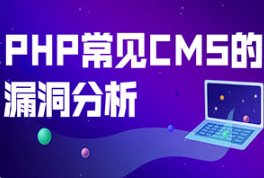《PHP常见CMS的漏洞分析》[MP4][百度网盘下载]