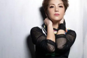 英国籍华裔女歌手《卫兰Janice M.Vidal》歌曲合集(1998-2021年28张专辑)[MP3/FLAC/MP4/FLV/2.04GB]][百度网盘下载