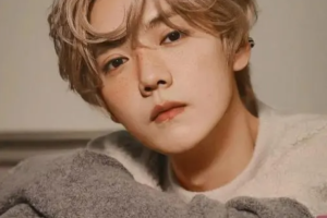 中国内地流行乐男歌手《鹿晗Lu Han》无损歌曲(2014-2020年36张专辑/单曲)[MP3/FLAC/MP4/FLV/4.34GB] ][百度网盘下载
