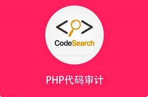 【代码审计】《安全牛带你入门PHP代码审计》[MP4][百度网盘下载]