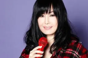 中国台湾女歌手《江蕙》无损音乐歌曲唱片[专辑57CD][MP3/FLAC/MP4/FLV ][百度网盘下载