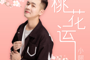 中国内地男歌手《小阿枫》歌曲音乐合集[MP3/FLAC/MP4/FLV/2.01GB]][百度网盘下载