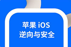 《iOS逆向与安全 掌握分析技巧》[百度网盘下载]