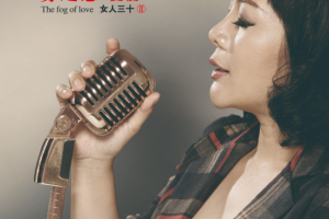 中国女歌手《曼里》[18张专辑]无损歌曲音乐[MP3/FLAC/MP4/FLV/5.22GB]][百度网盘下载