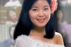 中国台湾女歌手《邓丽君》[1000首]歌曲合集[MP3/FLAC/MP4/FLV/6.86GB]][百度网盘下载