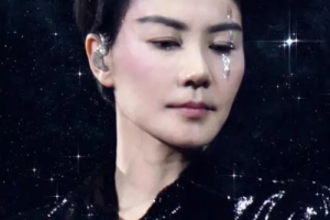 华语流行乐女歌手《王菲》歌曲专辑[120张无损整轨][MP3/FLAC/MP4/FLV/63.43GB] ][百度网盘下载
