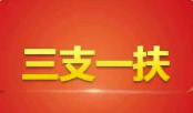《三支一扶、村官考试教学培训视频资料》[MP4][20.81GB][百度网盘下载]
