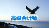 《高级会计师职称考试教学培训视频教材资料》[MP4/PDF][76.85GB][百度网盘下载]