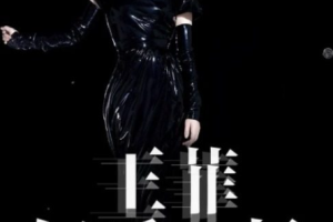 2016年王菲《幻乐一场/Faye’s Moments Live》演唱会完整版视频[MP4/2.64GB] ][百度网盘下载