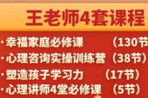 【亲子育儿】王纪琼《心理咨询技术案例实操训练营》完结版课程视频[RMVB][6.48GB]][百度网盘下载]