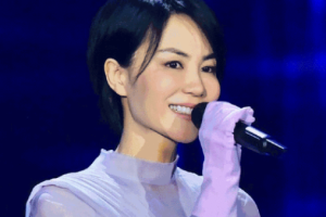 华语流行乐女歌手《王菲》[61张专辑]歌曲合集[FLAC/WAV/APE/MP3/30.28GB]][百度网盘下载