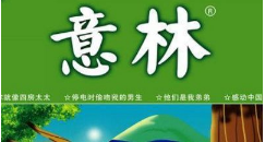 2008-2018年期间《意林》杂志出版的电子文档合集[PDF][4.63GB]][百度网盘下载
