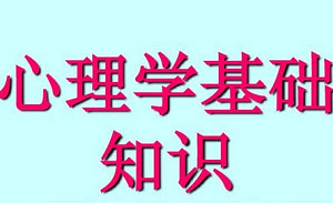 心理基础知识(发展+基础+社会+变态+健康+心理测量+咨询)高清视频合集[MP4][7.62GB][百度网盘下载]