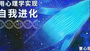 《用心理学实现自我进化 首个自我成长系列课程》全集视频合集[MP4][10.29GB][百度网盘下载]