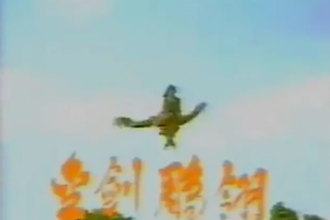 1986年国产剧《金剑雕翎》中视修复版(1-17集)国语中文字幕高清合集[百度网盘下载