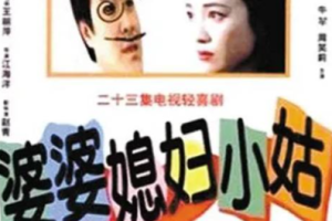 1998年国产剧《婆婆媳妇小姑》全（1-23集）国语中文字幕高清合集][百度网盘下载