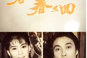 1989年国产电视剧《春去春又回》全1-40集国语中文字幕合集][百度网盘下载