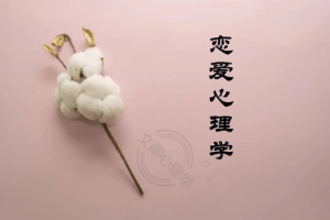 《恋爱心理学》[MP4][1.11GB]5部视频高清合集打包[百度网盘下载]
