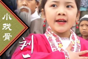 2016年国产剧《小戏骨之刘三姐》国语中文字幕高清合集[MP4/MKV][923.78MB]][百度网盘下载