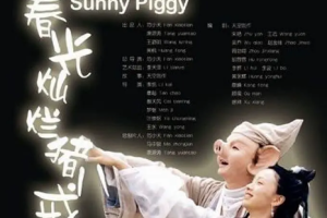2000年国产情感喜剧《春光灿烂猪八戒》全1-36集高清国语中文字幕合集[MP4/MKV/TS][62.98GB]][百度网盘下载