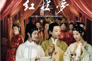 2010年国产古装爱情剧《新红楼梦》全1-50集国语中文字幕超清合集[MP4/MKV][38.64GB]][百度网盘下载