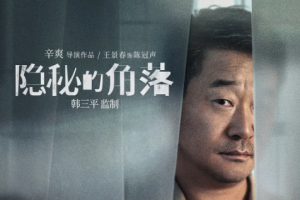 2020年国产电视剧《隐秘的角落》1-12集+番外国语中文字幕高清合集[MP4/MKV][16.07GB]][百度网盘下载
