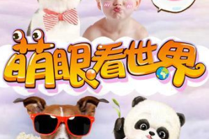 《萌眼看世界大百科》视频课程合集[MP4][11.15GB][百度网盘下载]
