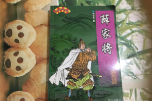 张震佐有声书作品《薛家将》完结音频合集[MP3]百度云网盘下载[MP3][327.72MB]][百度网盘下载