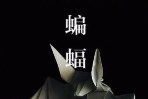 《蝙蝠》古早系列-武侠广播剧完结版音频打包百度云网盘下载[MP3][1.15GB]][百度网盘下载
