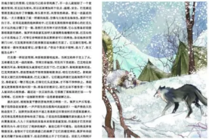 钱儿爸《荒野的呼唤》音频[MP3][446.63MB][百度网盘下载]