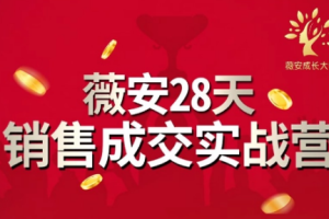 《薇安28天销售高手训练营》课程[MP4][1.01GB][百度网盘下载]