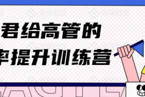 和君·给高管的效率提升训练营[MP4][7.36GB][百度网盘下载]
