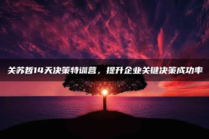 关苏哲14天决策特训营[MP4][4.35GB][百度网盘下载]