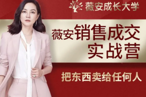 薇安28天销售高手训练营[百度网盘下载]