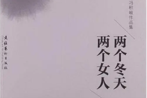 有声小说《两个冬天两个女人》[MP3/134.43MB][百度网盘下载