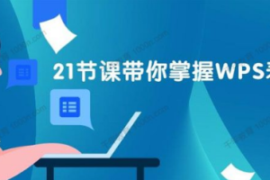 王佩丰《21天WPS表格训练营》[MP4][1.14GB][百度网盘下载]