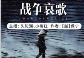 有声书小说《战争哀歌》头陀渊[M4A/75.51MB][百度网盘下载
